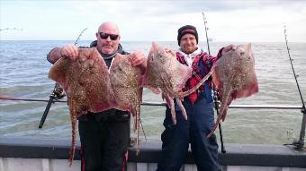 10 lb Thornback Ray by Matt from colchester