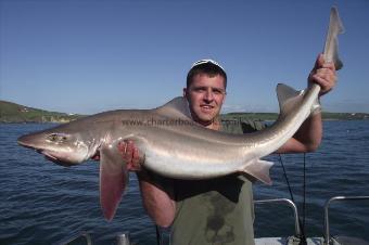 24 lb Starry Smooth-hound by Unknown