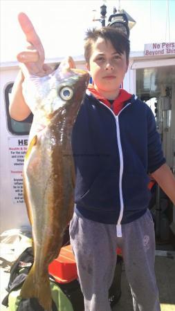 4 lb Pollock by jack from hemsworth