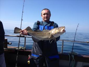 8 lb Cod by Steve Bogie