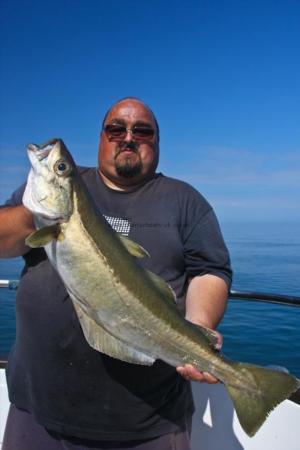 9 lb 9 oz Pollock by Jack