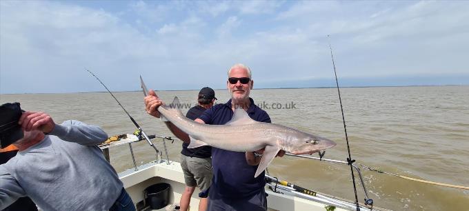 14 lb Starry Smooth-hound by Unknown