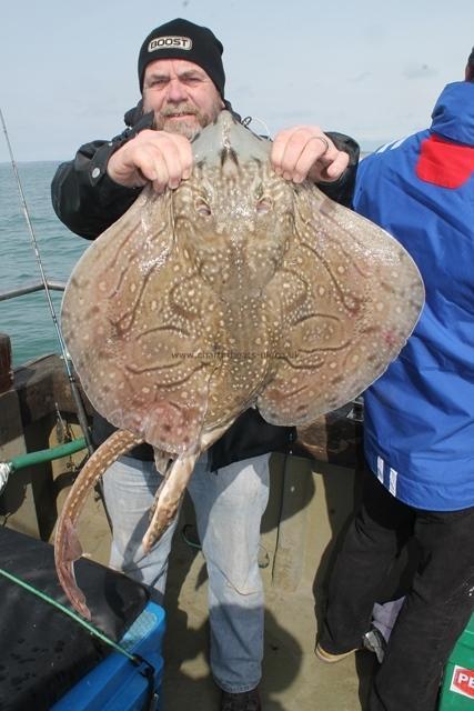 12 lb 1 oz Undulate Ray by Simon Blundell