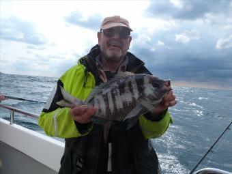 4 lb Black Sea Bream by Graham Mchoul