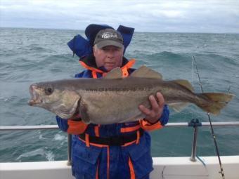 16 lb 14 oz Pollock by Phil Marshall