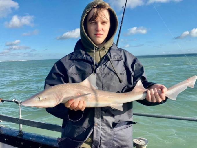 7 lb Smooth-hound by Unknown