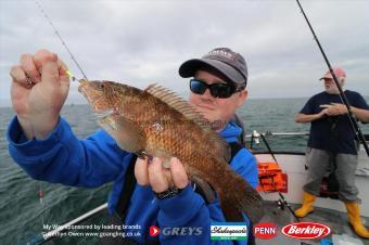 2 lb Ballan Wrasse by Mikee