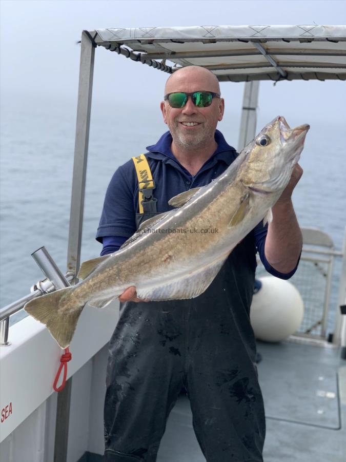 12 lb 6 oz Pollock by Unknown