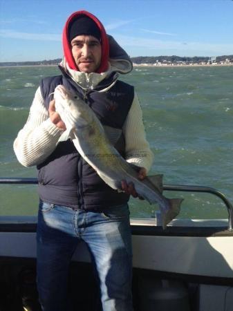 6 lb Cod by Unknown