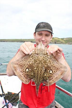 2 lb Spotted Ray by Simon