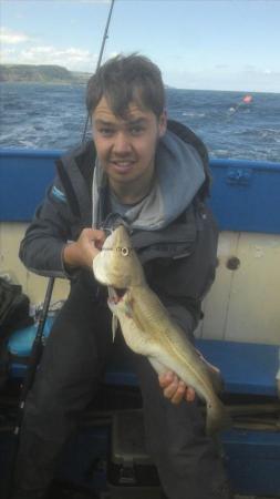 3 lb Cod by Unknown