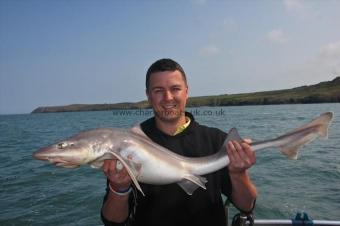 15 lb Starry Smooth-hound by Mike