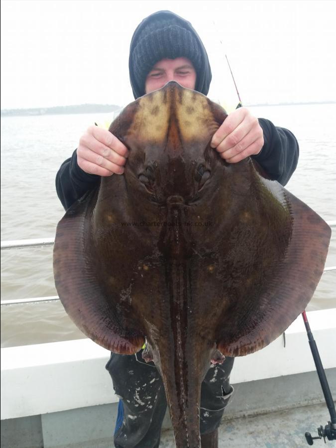 20 lb Blonde Ray by Pencil