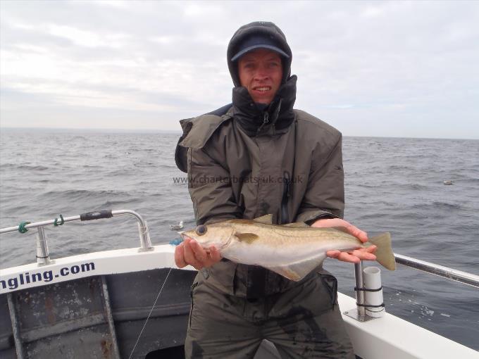 2 lb 15 oz Pollock by Unknown