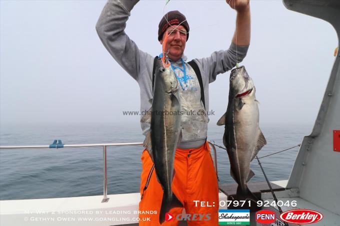 7 lb Coalfish (Coley/Saithe) by Keith