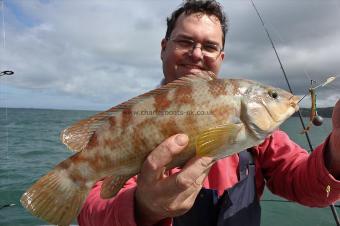 3 lb Ballan Wrasse by Paul