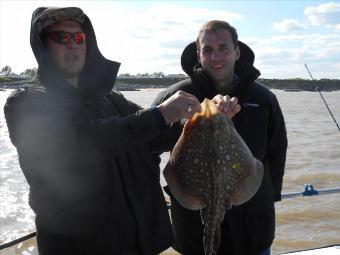 5 lb Thornback Ray by Matty