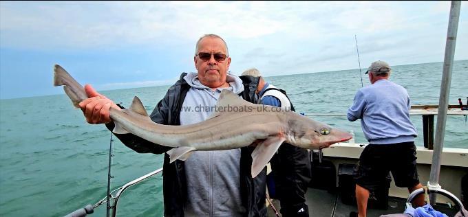 13 lb Smooth-hound by Rob