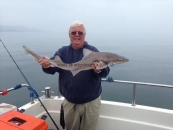 8 lb Smooth-hound (Common) by Roy Shipway