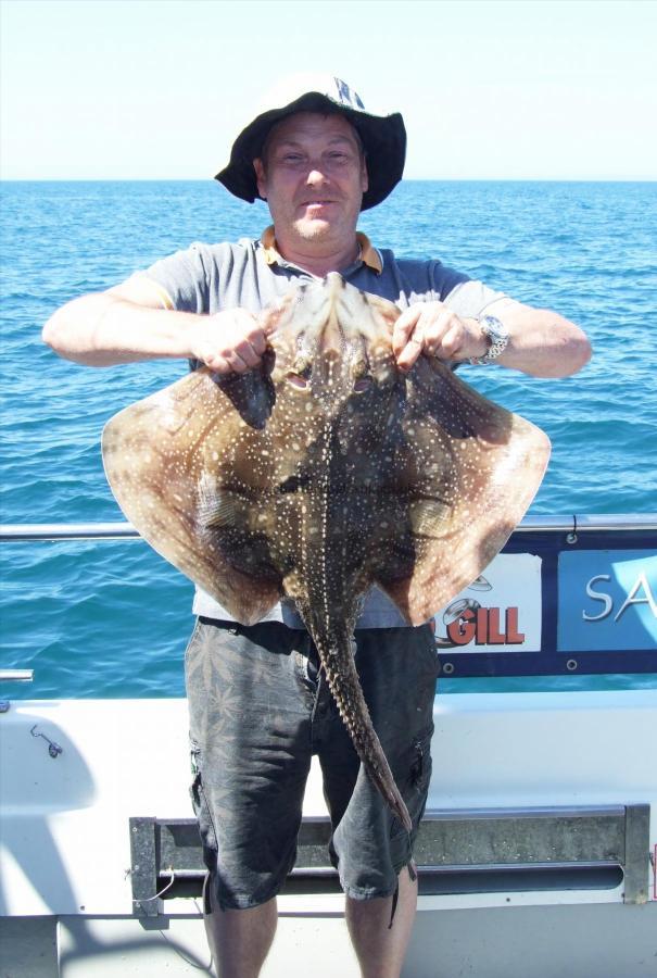 13 lb Undulate Ray by Allan Pleasants