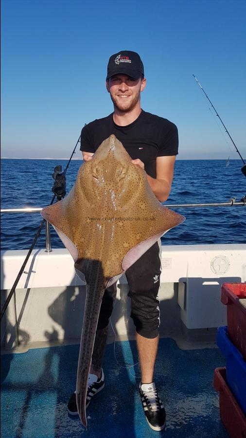 26 lb Blonde Ray by Ryan