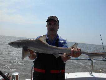 6 lb 5 oz Starry Smooth-hound by Paul Layton