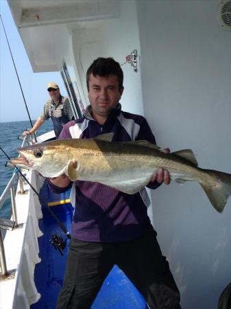 11 lb Pollock by Chris