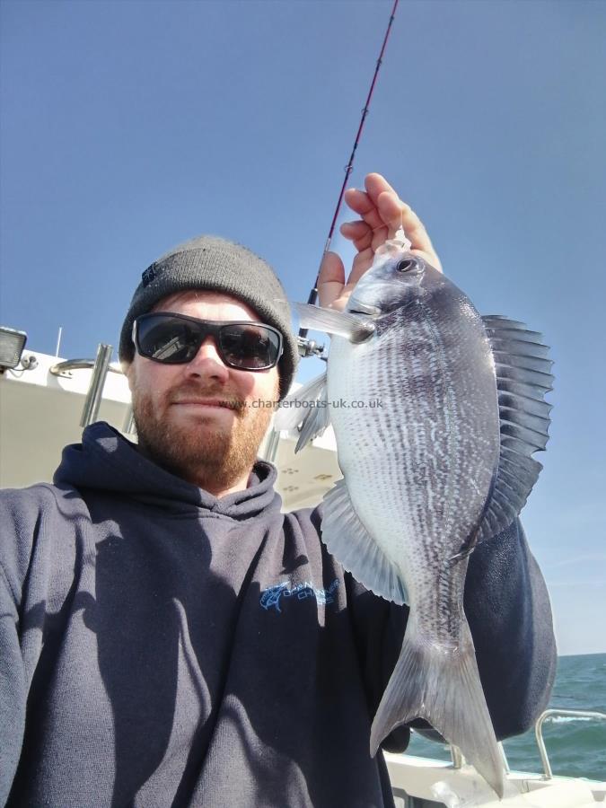 1 lb 4 oz Black Sea Bream by Skipper Ryan