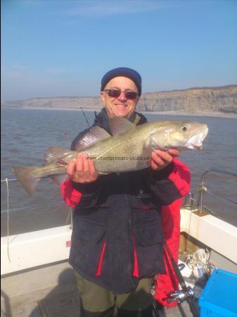 7 lb 8 oz Cod by graham hurley