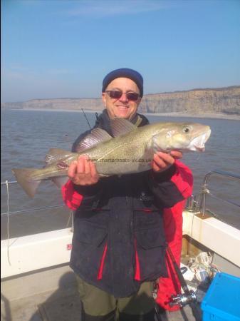 7 lb 8 oz Cod by graham hurley