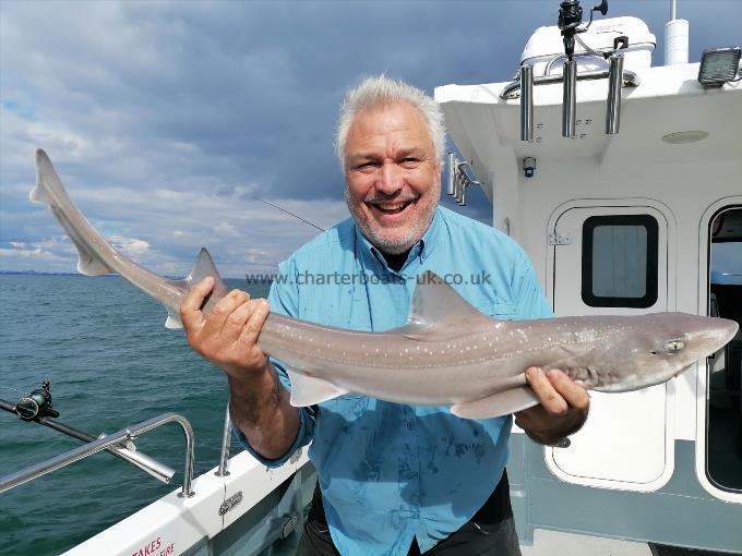 7 lb 12 oz Starry Smooth-hound by Peter