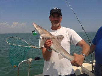 12 lb Smooth-hound (Common) by Shane Bone