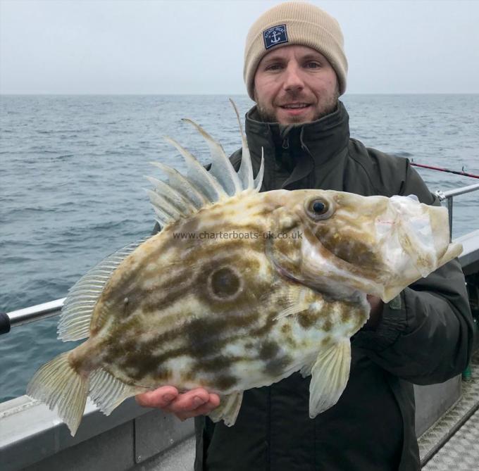 4 lb 4 oz John Dory by Unknown