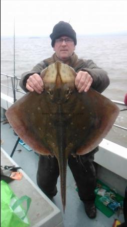 16 lb Blonde Ray by peter
