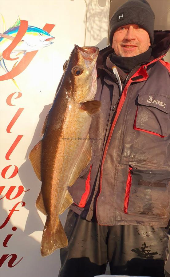 12 lb 6 oz Pollock by Steve