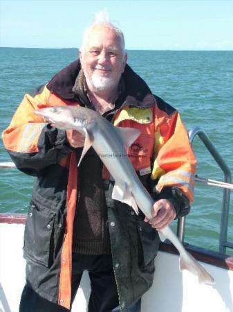 9 lb 10 oz Starry Smooth-hound by Dave Park