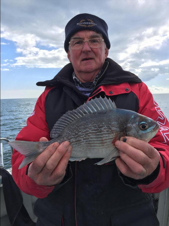 1 lb Black Sea Bream by Tony