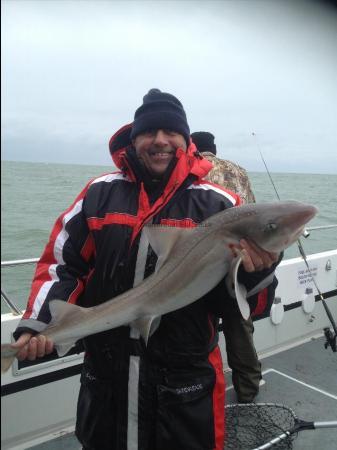 16 lb Starry Smooth-hound by Unknown