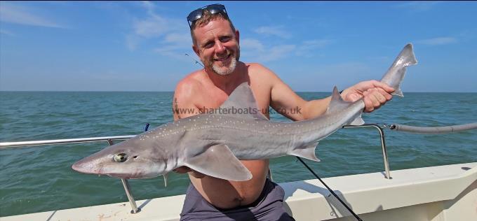 11 lb 14 oz Starry Smooth-hound by Steve
