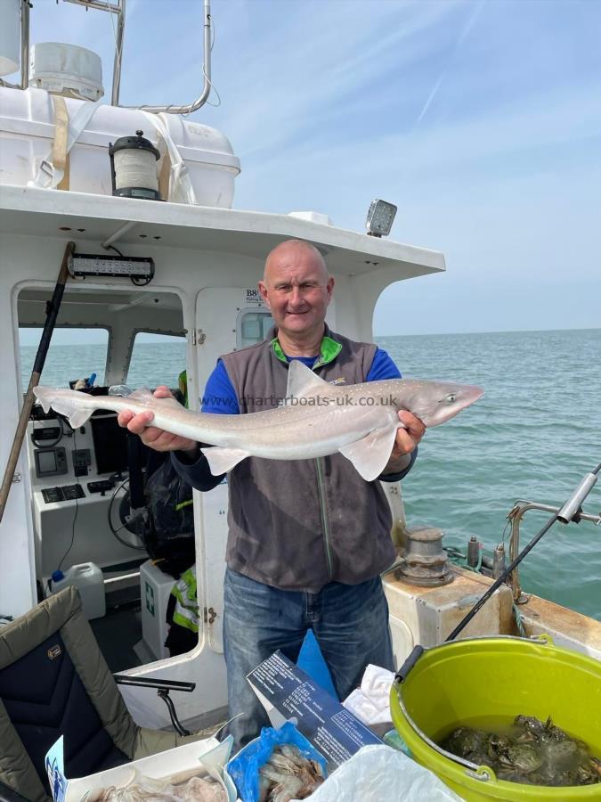 9 lb Smooth-hound (Common) by Skipper Jay