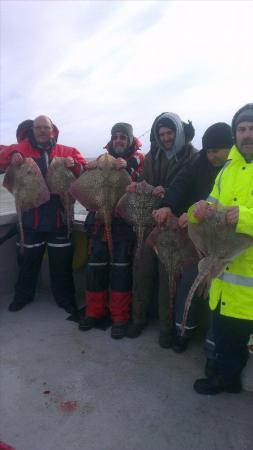 7 lb 2 oz Thornback Ray by tims party
