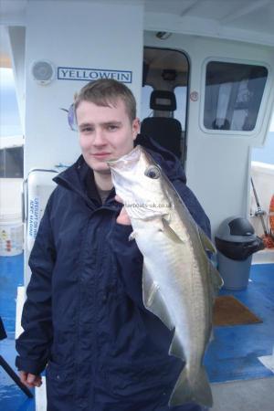 7 lb 4 oz Pollock by Robert