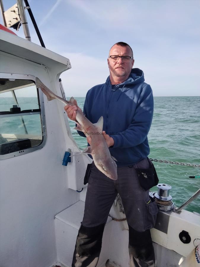 5 lb Smooth-hound by Marion