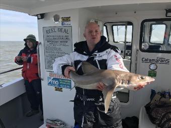 11 lb 13 oz Smooth-hound by Alex steel
