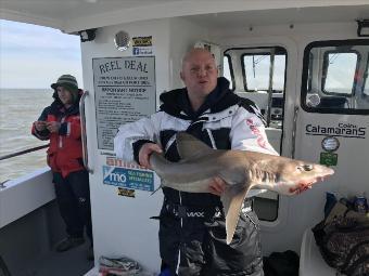 11 lb 13 oz Smooth-hound (Common) by Alex steel