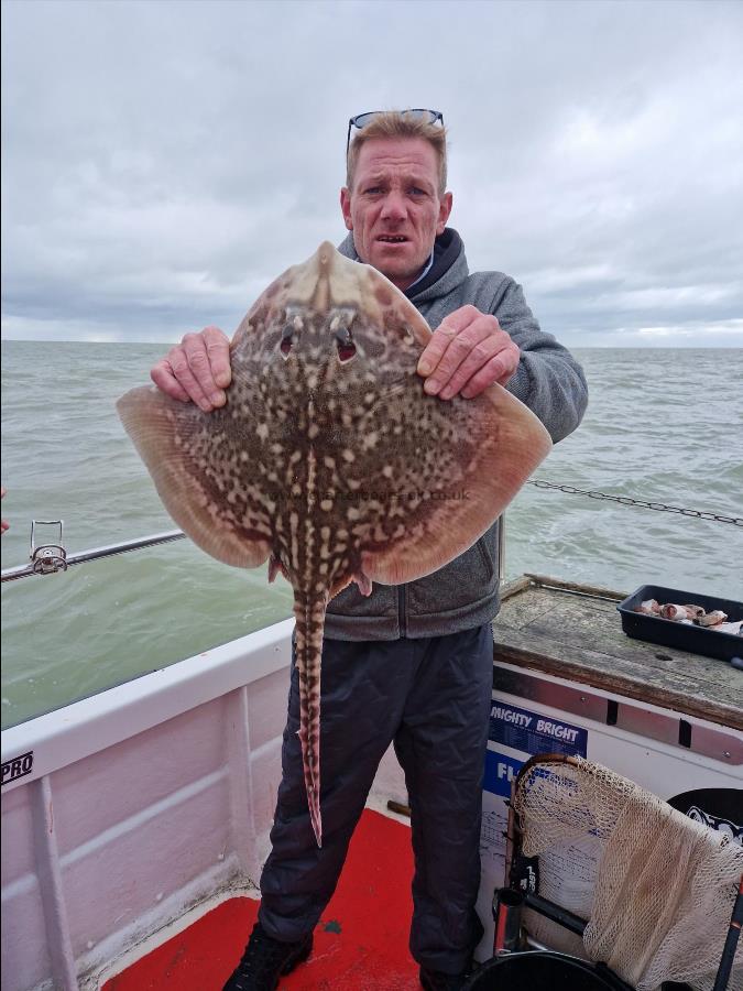 4 lb Thornback Ray by Sam from Kent