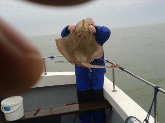 24 lb Blonde Ray by Don