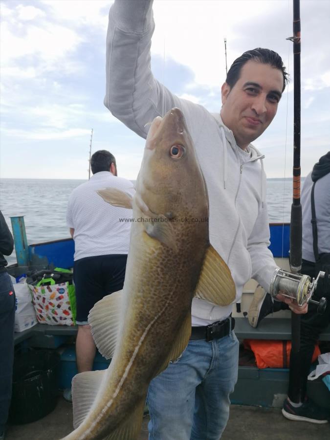 3 lb 9 oz Cod by Unknown