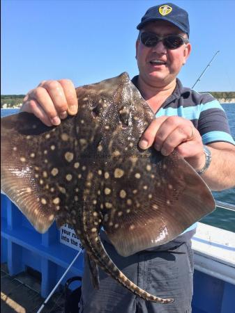 7 lb Thornback Ray by alister 17th july with a skate