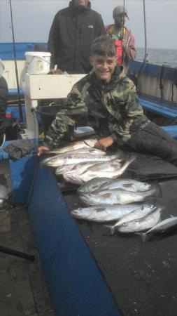 6 lb 8 oz Pollock by Jacob Barwell